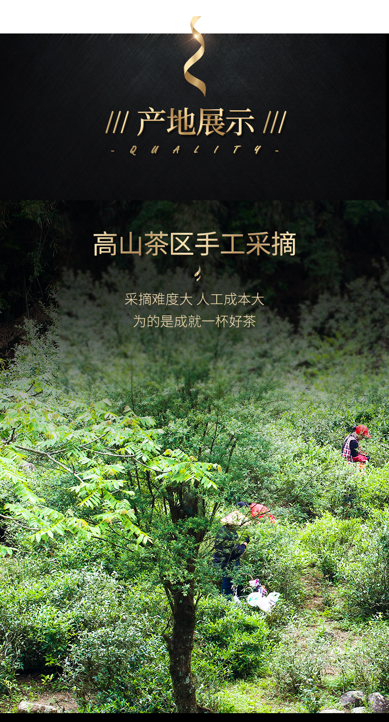 凤鼎红 金骏眉红茶 125g 铁罐装 图6