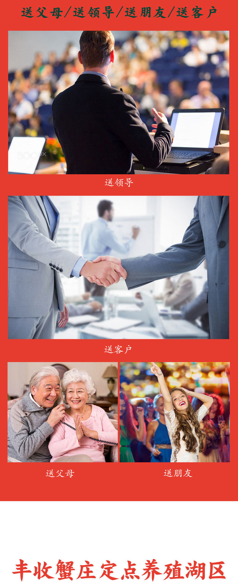 丰收蟹庄 B0级 鲜活大闸蟹公3.5两/母2.5两 8只活河蟹礼盒 图8