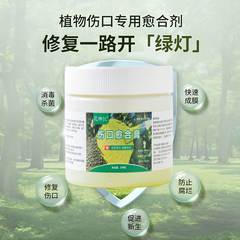 如何选择合适的植物伤口愈合剂？