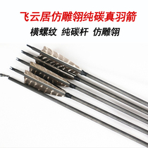 (Limited Edition) Feiyun Juchun Pure Carbon True Feather Arrow (Detachable Head) Traditional Beauty Hunting and Curve Arrow Applicable