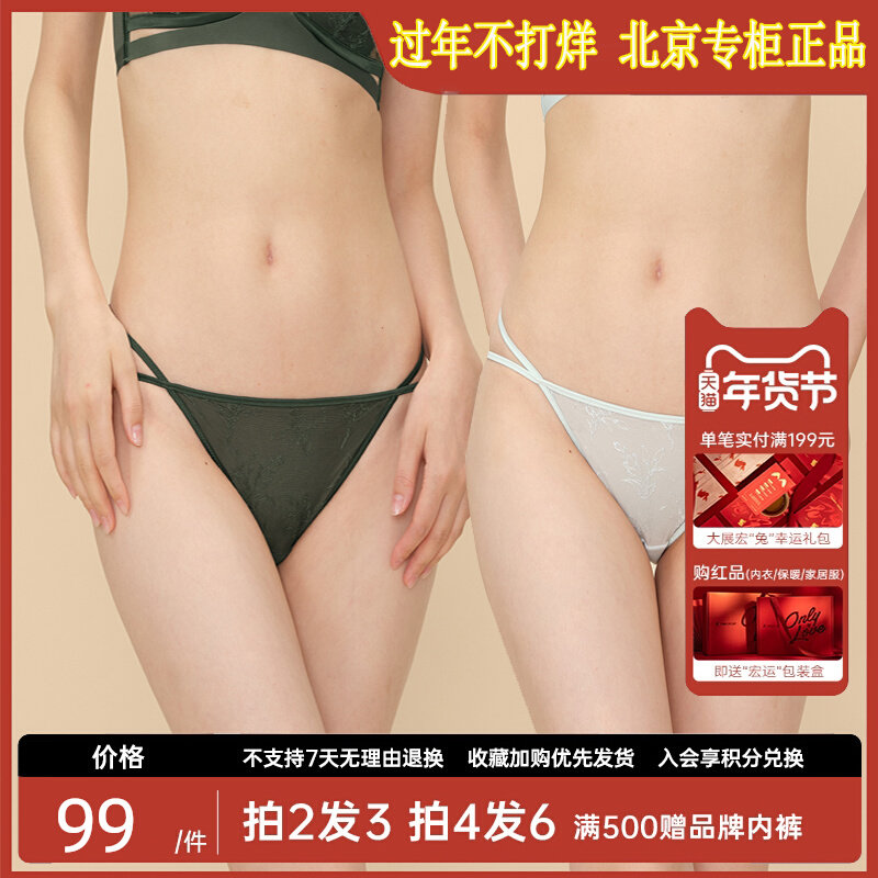 Vatican kapo women's underwear low waist briefs sexy embroidered lace mesh gauze thin mesh light and breathable tea series