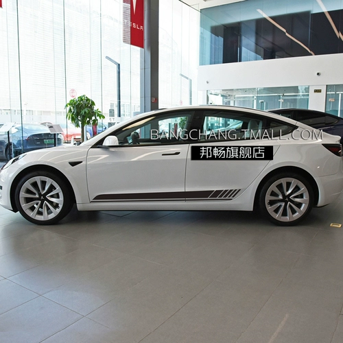Подходит для наклеек автомобилей Tesla Model Y, чтобы вытащить цветов