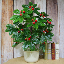 Potted hairy tree orange tree fake tree fake tree fake flower living room decoration green green plant landing silk flower plastic bonsai