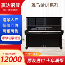 Yamaha Yamaha U1 Series Japan Original Imported Beginology Entrance Home Practice Exam Grade Special Qin