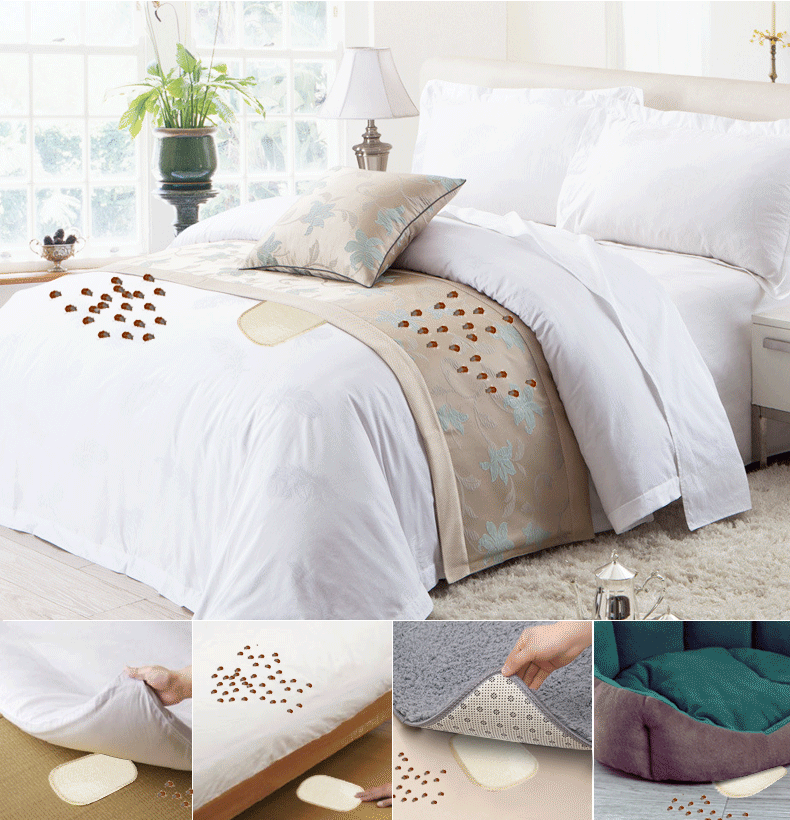 bình xịt côn trùng của mỹ	 Cào cào Nhật Bản bọ ve mạt giường côn trùng giết mạt mat để mạt không châu chấu phun 5 miếng - Thuốc diệt côn trùng 	bình xịt muỗi bao nhiêu