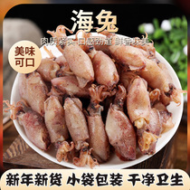 Dried sea rabbits dried sea rabbits small cuttlefish pen tubes fish black squid seafood and aquatic products dry goods