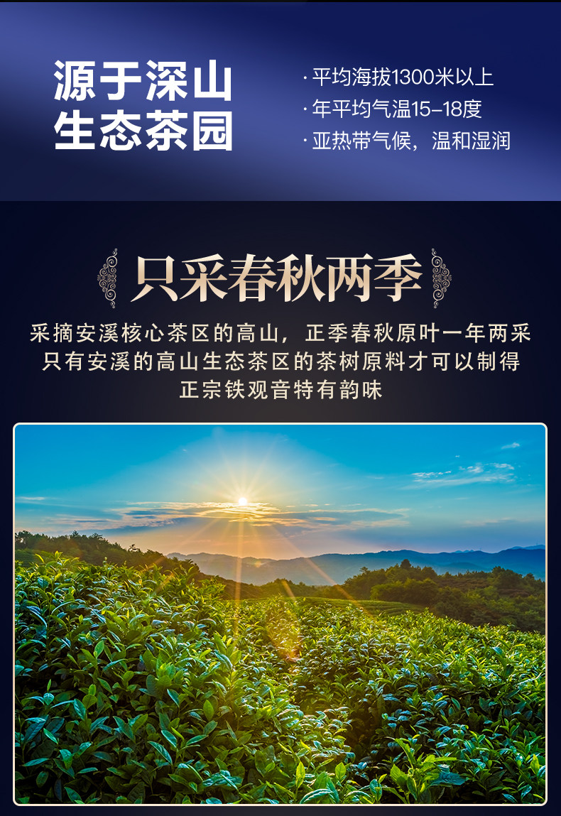 Cyan tieguanyin_07.jpg