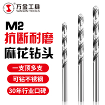 Wanjin anti-breaking and wear-resistant M2 high-speed steel fully ground twist drill Stainless steel drill bit Metal drill Flashlight drill Hole drill