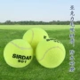 Sada tennis đơn huấn luyện dây đai tennis dây chuyền tennis tennis 07ARRQN8Mv vợt wilson 2020