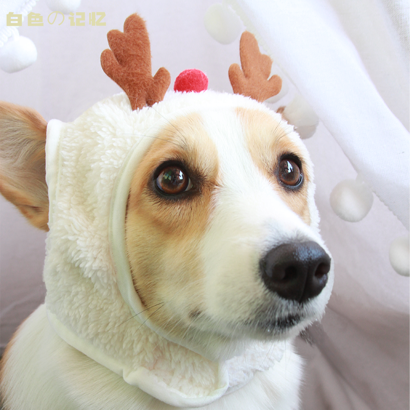 New Year Dragon Year Pets Decoration Hat Autumn Winter Scarves puppies Kitty Special Hats Head Accessories Kirky Headgear Hooded Ears-Taobao