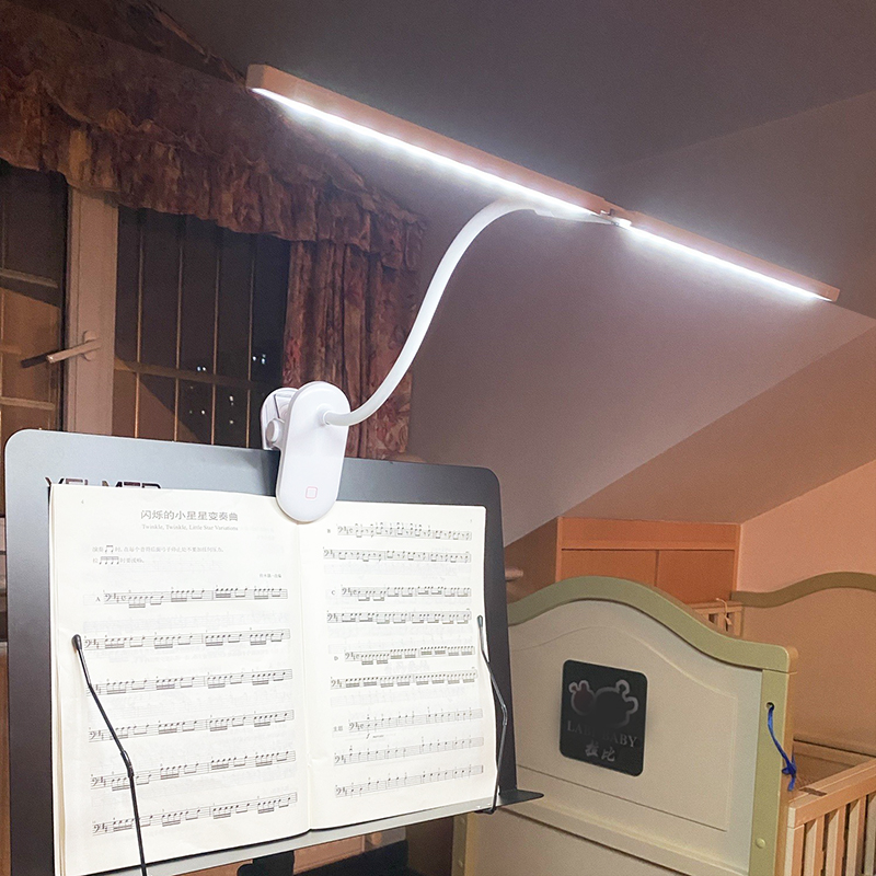 Score lamp Practicing Violin Special lamp Eye-protecting and inserting Dual-use Violin Guzheng Guitar Playing Spectrum Rack Clip Lamp-Taobao