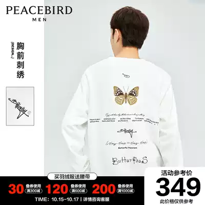 Taiping bird men's round neck thick cotton T men's 2021 autumn new color color embroidery loose sweater men's coat