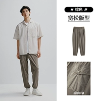 Коричневая вторая партия (свободная)