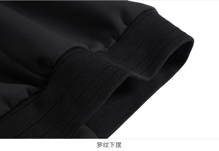 Blouson homme PEACEBIRD    manches longues en Polyester - Ref 3118446 Image 37