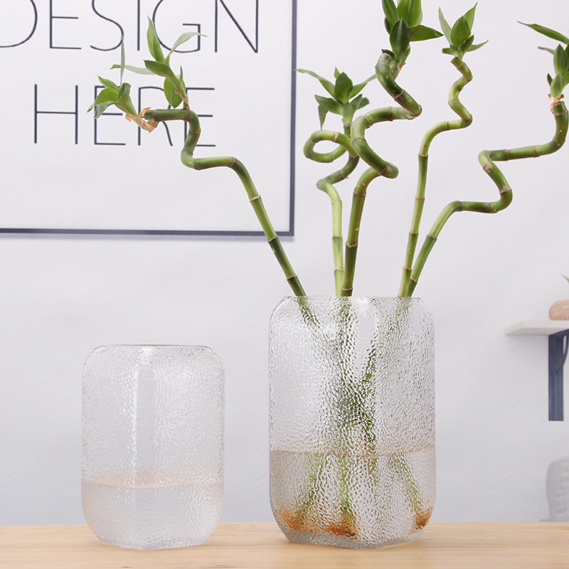 Simple creative glass vase Transparent flower arrangement Bamboo lily rose flowers Hydroponic flower living room ornaments