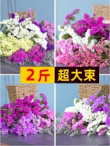 Forget-me-not natural dry bouquets with starry big bunches living room furnishings Yunnan real flowers dried flowers decorative ornaments