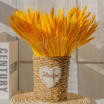 Natural golden wheat ear dried flower bouquet living room decoration open barley flower basket pastoral decoration decoration light luxury real flower