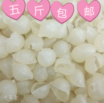 Loose Titles 500 gr Five Bumper Nutritional Shells Pink Shell Powder powder Hollow Powder Rice Flour Rice Flour Jiangxi Will Chante Property