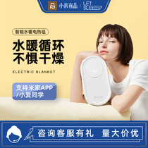Ploy Water Heating Electric Blanket Double Water Cycle No Radiation Safety Home Intelligent Constant Insulation Silent Mattress Rice