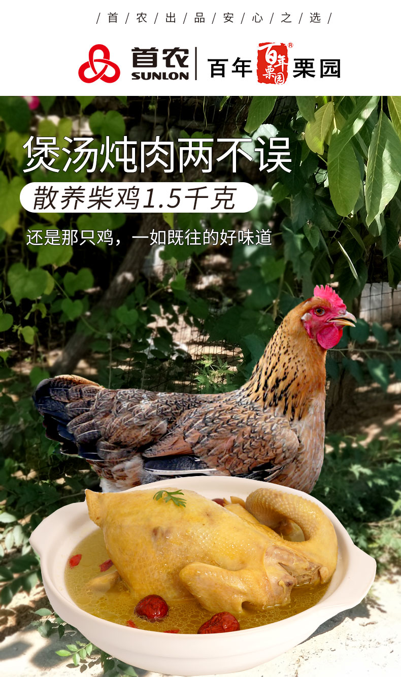 首农旗下 百年栗园 散养柴鸡 800g*2只 图1