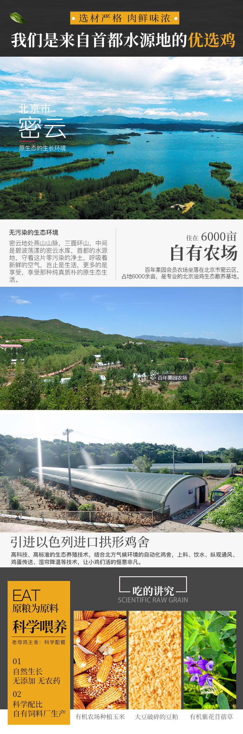首农集团旗下 百年栗园 散养土鸡 肉嫩不柴 2斤*2只 图2