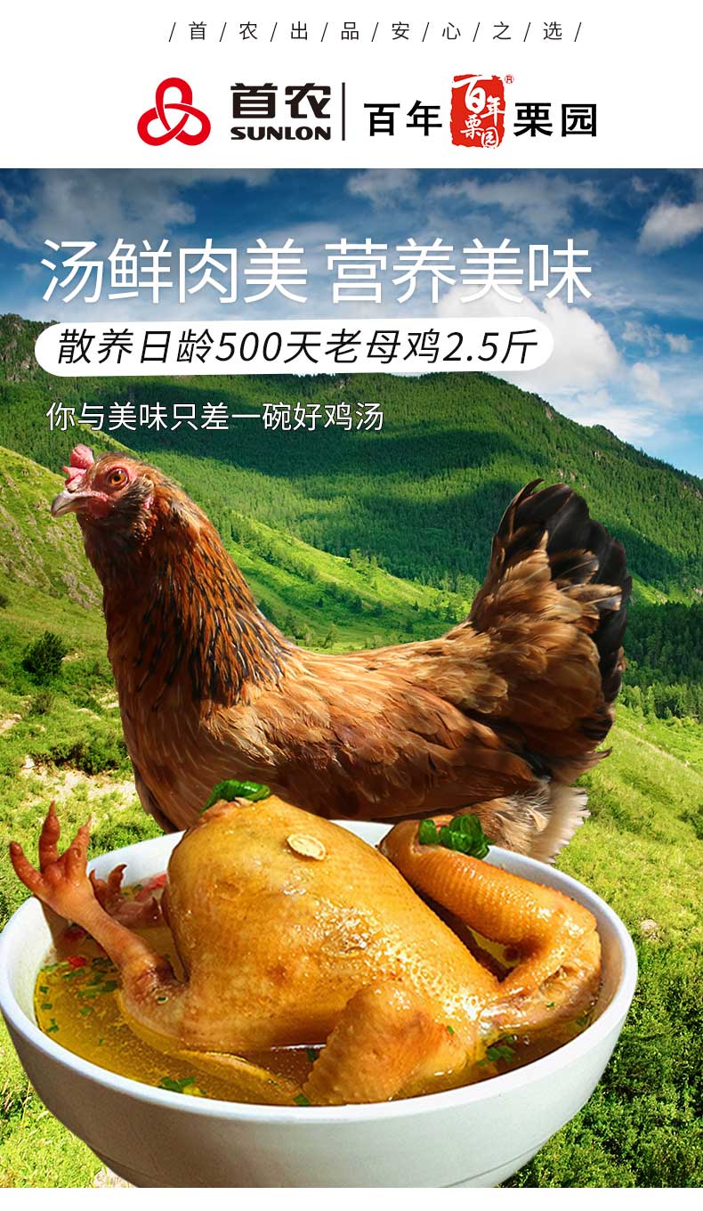首农旗下 百年栗园 500天散养老母鸡 净重2斤*2只 图1