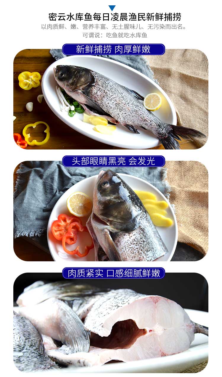 首农旗下 百年栗园 北京密云水库花鲢鱼 1.2kg/条 图3