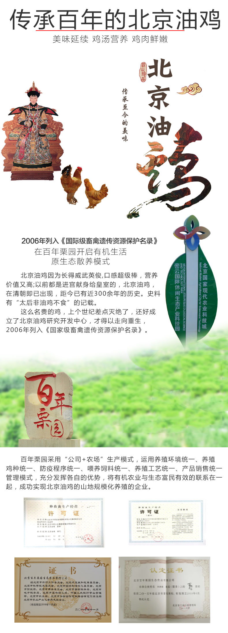 百年栗园 散养大公鸡 1.5kg 国家遗传资源保护品种 图5