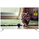 ti vi màn hình cong sony Konka / Konka B50U full 50 inch 4K độ phân giải cực cao mạng thông minh WiFi màn hình phẳng LED LCD TV 55 tivi panasonic 55 inch