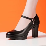 Ципао, водонепроницаемые комфортные туфли на высоком каблуке на платформе