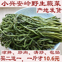 Pickled brackish wild mountain vegetables green salted salt farmhouse cold specialty Xiaoxinganling specialty 500g