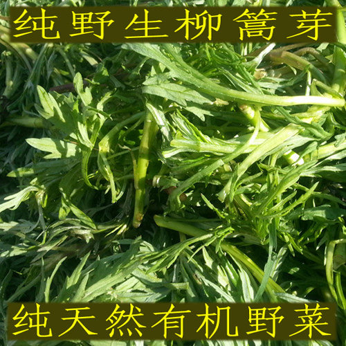 Bagged william bud wild northeast little Xing'an Ridge Yichun Artemisia Annua with a sauce-coated fillings