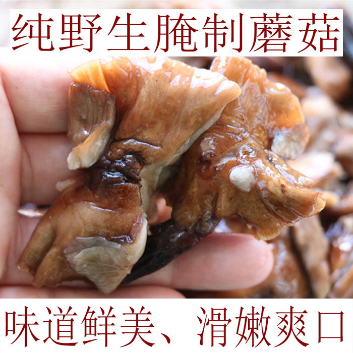 Pickled wild mushrooms Hazelnut mushrooms Xiaoxinganling specialty mountain Zhen fresh edible mushrooms Salt salty mushrooms 500g