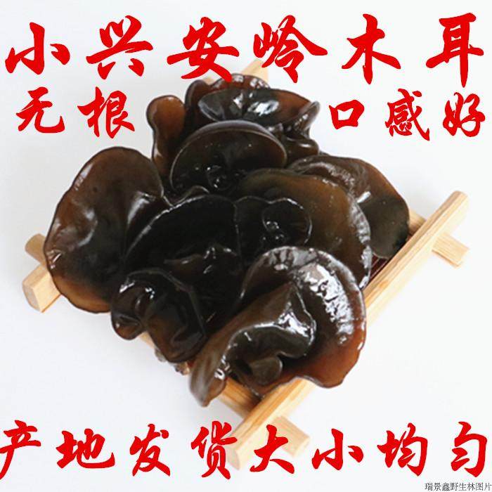 Black fungus Northeast Xiaoxing Anling Yichun Imperate wild native produce Agaric Autumn Agaric Tree Fungus No Root Dry Goods Edible Mushrooms