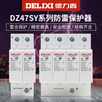 Delixi Surge Protector Lightning Protection Leakage Protector Household Switch Dz47Sy Lightning Protection Circuit Breaker 220V