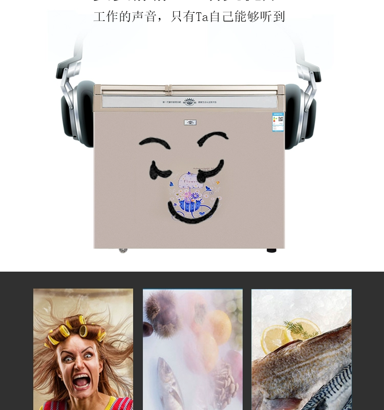 Cao cấp gấp đôi BCD-231V thép không gỉ lót ống đồng tủ đông lớn tủ lạnh đông lạnh người tiêu dùng và thương mại - Tủ đông