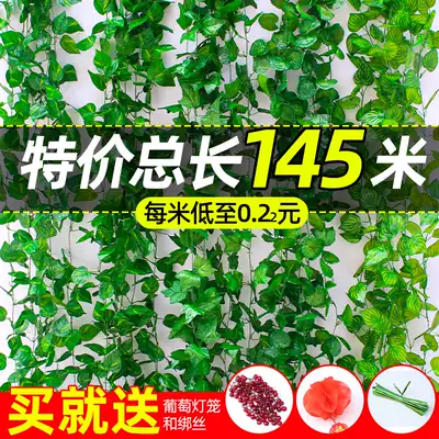 Simulation of green plants rattan grape leaves indoor hanging ceiling water pipe decoration winding shield fake plastic flower vines