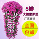 仿真紫罗兰壁挂吊兰花大绣球假花塑料花绢花花藤藤条阳台婚庆装饰