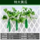 Mô phỏng cây nho lá nho hoa giả khách sạn trong nhà trần điều hòa không khí trang trí cây xanh trồng rau - Hoa nhân tạo / Cây / Trái cây hoa giả đẹp