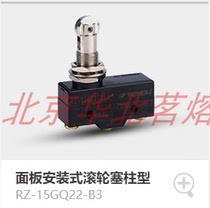 Langbird micro switch RZ-15GQ22-B3