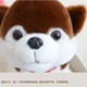 Husky plush toy puppy doll cloth doll ເດັກນ້ອຍ doll simulation dog car-mounted gift birthday for men and women