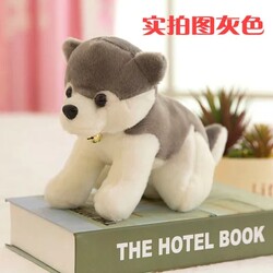 Husky plush toy puppy doll cloth doll ເດັກນ້ອຍ doll simulation dog car-mounted gift birthday for men and women