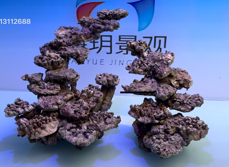 🏡🎨 60海缸活石造景：双岛设计，活石新体验 🏊‍♀️🌊-水族服务-淘宝好物网