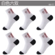 BZ99177 White Six Double