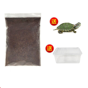 椰土150g+活体小乌龟+龟盆