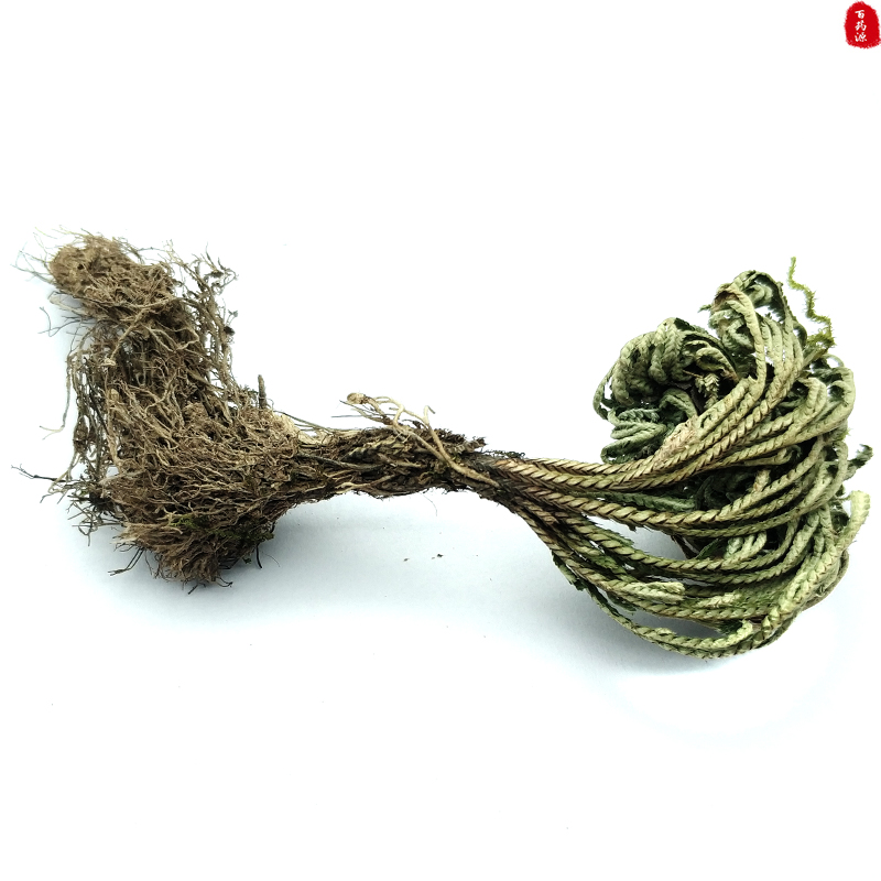 Curry Wild Nine Dead Also Soul Grass Dry Resurrection Grass Immortality Grass still raw grass 500 gr Chinese herbal medicine