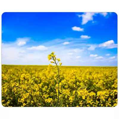 Flowers, trees, mouse mats, rape flowers, suburbs, scenery, blue sky, DIY mouse mats, 18*22*0 3cm