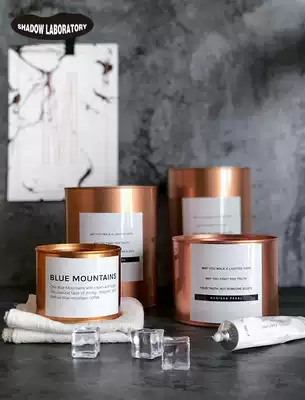 ins wind Cactus Succulents Potted jar Desktop sundries storage jar Cold wind shooting ornaments