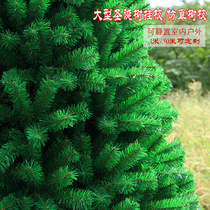 2019 large outdoor room Christmas tree hanging branch shopping mall hotel decoration frame simulation branches 5 meters 6 meters Green