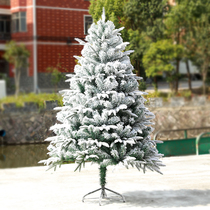 Christmas decorations 150 180cm luxury encrypted white snow flocking home green window 1 2 m Christmas tree